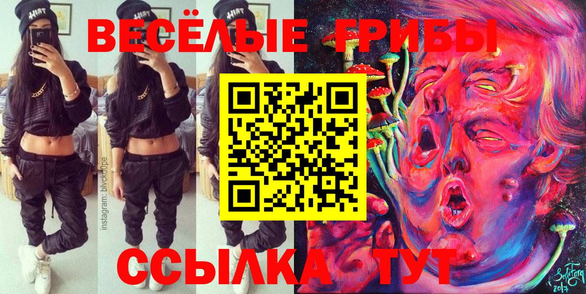 Псилоцибиновые грибы мицелий  Вход с VPN  Алапаевск 